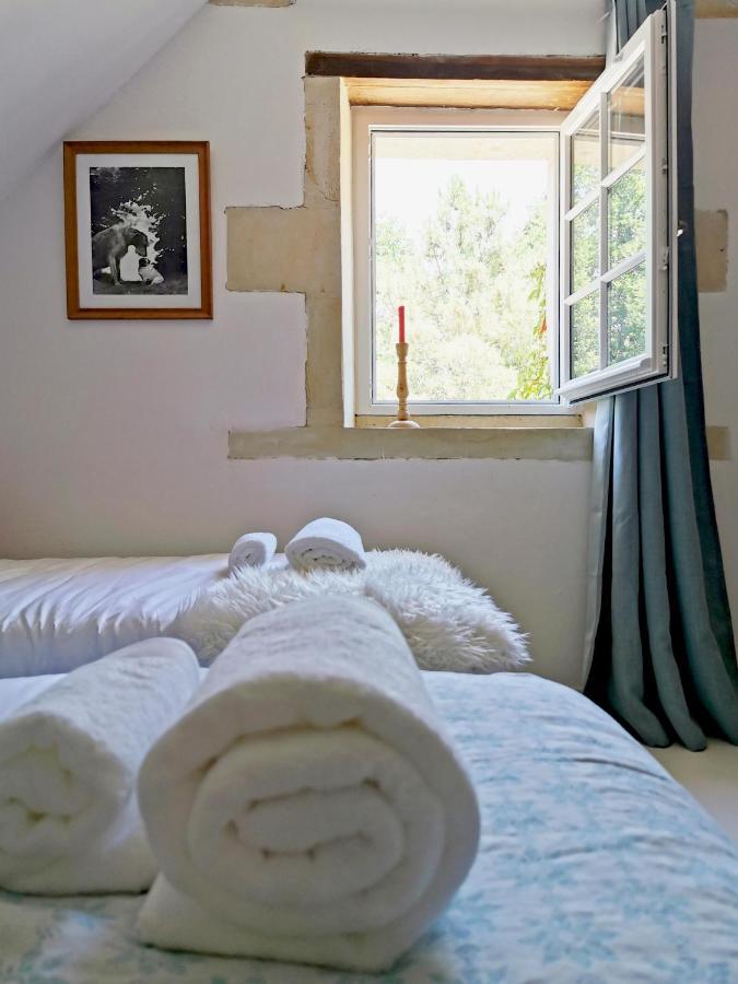 Quatre Chats Sous Un Pin Le Thoureil Esterno foto